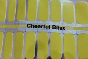 Bindy's Cheerful Bliss Nail Polish Wrap