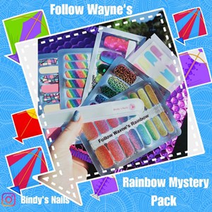 Bindy's Follow Wayne's Rainbow Mystery Pack