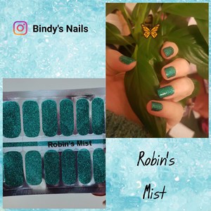 Bindy's Robins's Mist Nail Polish Wrap